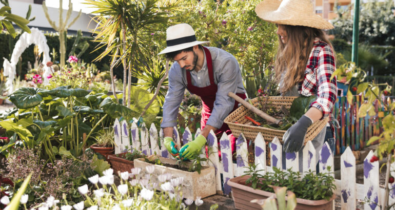 Tipy, jak vytvořit atraktivní předzahrádku u domu