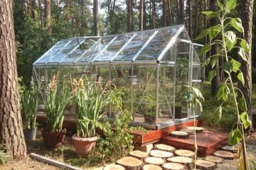 Moderní zahradní skleník nabízí možnosti nejen pro pěstování ovoce a zeleniny