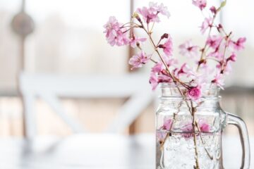Jaké větvičky si dát na jaro do vázy? Zlatý déšť, kočičky a další