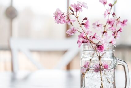 Jaké větvičky si dát na jaro do vázy? Zlatý déšť, kočičky a další