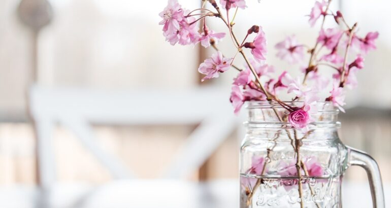 Jaké větvičky si dát na jaro do vázy?