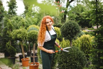 Keře, které jsou odolné vůči suchu i přímému slunci