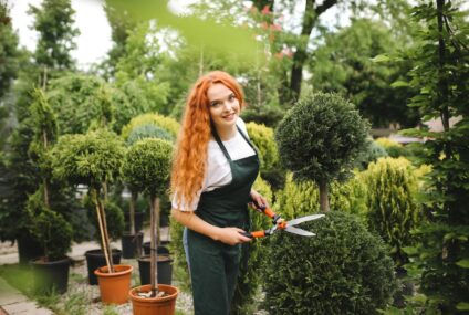 Keře, které jsou odolné vůči suchu i přímému slunci